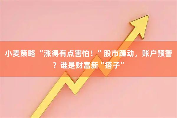 小麦策略 “涨得有点害怕！”股市躁动，账户预警？谁是财富新“搭子”