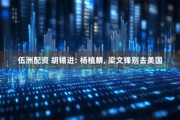 伍洲配资 胡锡进: 杨植麟, 梁文锋别去美国
